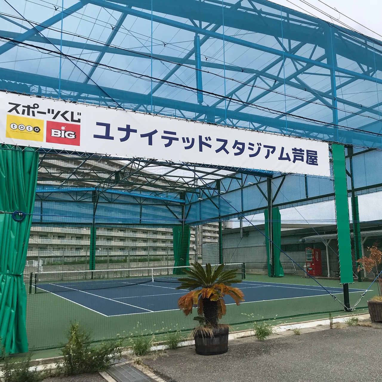 芦屋市ソフトテニス協会の写真1